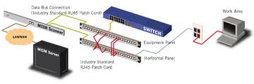 molex